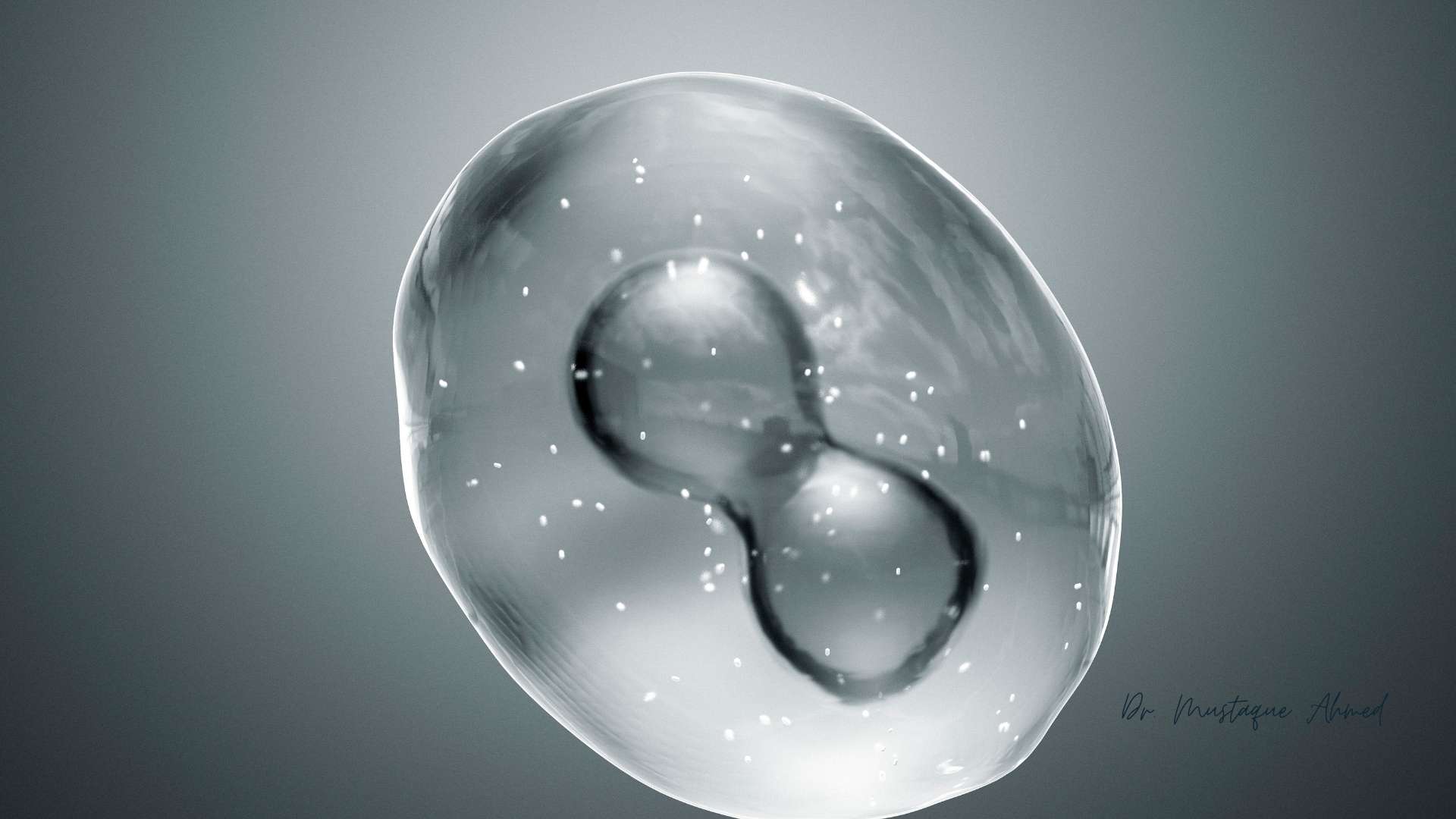 Embryoscope Service by Dr. Mustaque Ahmed