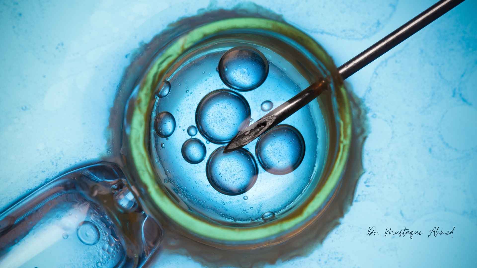 IVF Service by Dr. Mustaque Ahmed