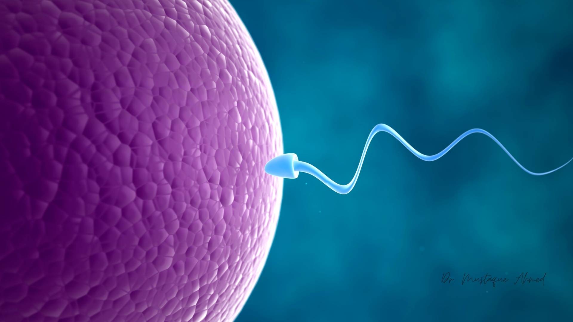 Reproductive Genetics Service by Dr. Mustaque Ahmed